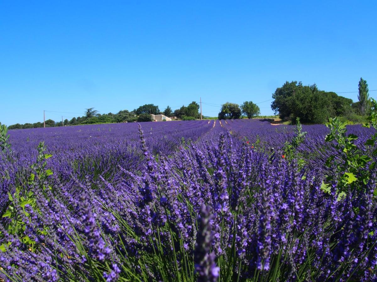 La Vita Dolce, Luberon Grambois Exterior photo