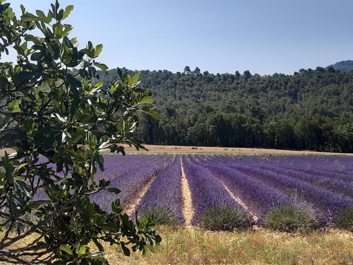La Vita Dolce, Luberon Grambois Exterior photo