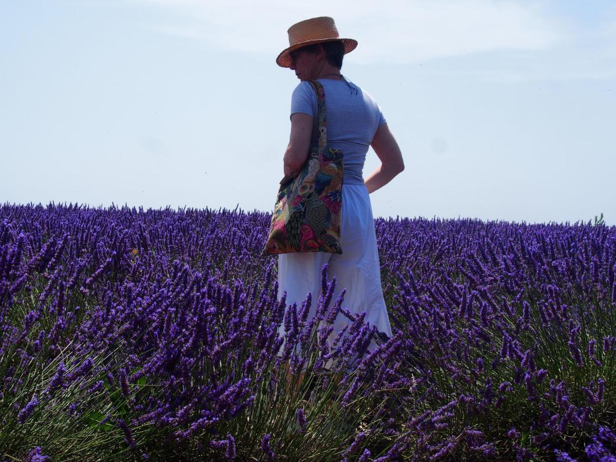 La Vita Dolce, Luberon Grambois Exterior photo