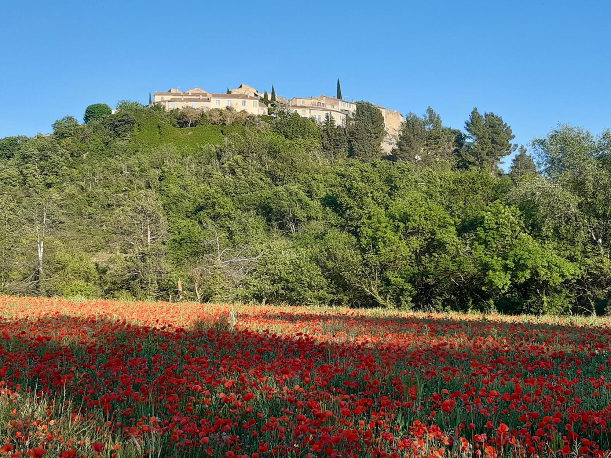 La Vita Dolce, Luberon Grambois Exterior photo